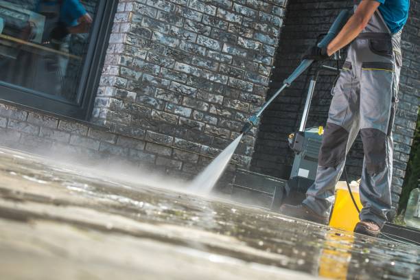 Best Driveway Pressure Washing  in Glespie, IL