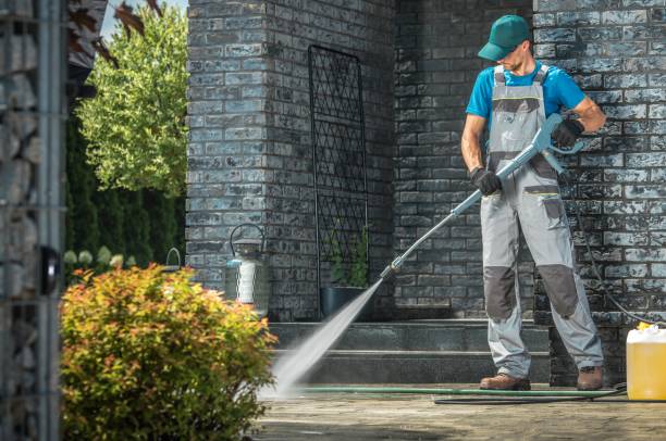 Best Spring Cleaning  in Glespie, IL